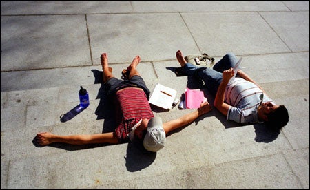 Students sunbathing