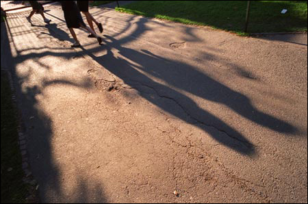 Shadows at Johnston Gate