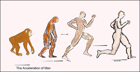 human evolution timeline for kids