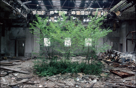 New Jersey library reading room,