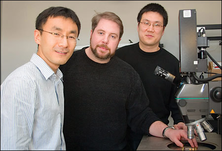 Donhee Ham, David Ricketts, and Xiaofeng Li