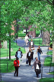 students in Harvard Yard