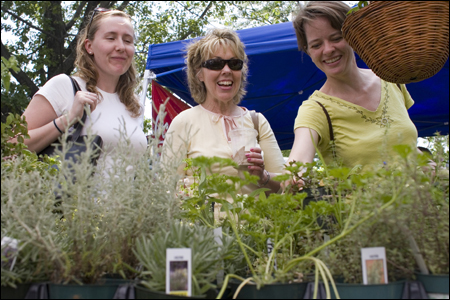 Linda LeFever, Judi DellaBarba, and Jennifer