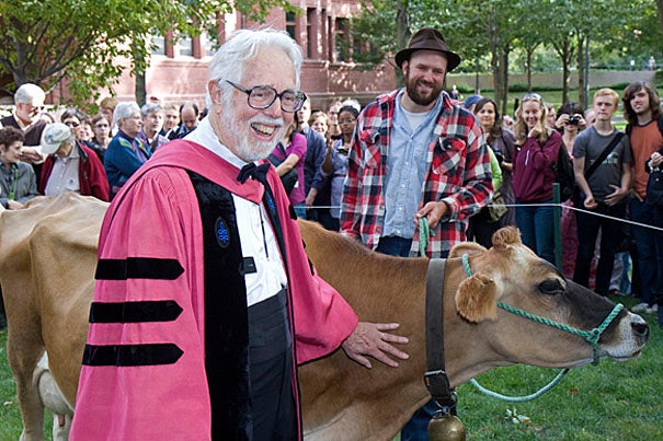 In a ceremony to commemorate the retirement of Harvey Cox as the Harvard Divinity School’s Hollis Professor of Divinity, a Jersey cow grazed in the Yard adjacent to the Memorial Church, resurrecting a 200-year-old practice.
