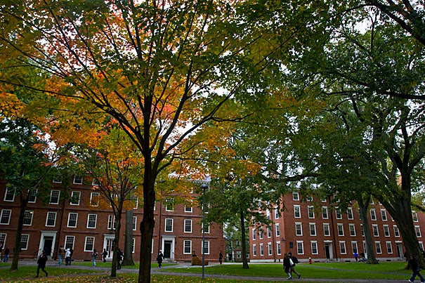 The kickoff of the Harvard College Homecoming celebration will feature a full lineup of family-friendly activities, including an open-air screening of the movie classic "Love Story" in Harvard Yard.