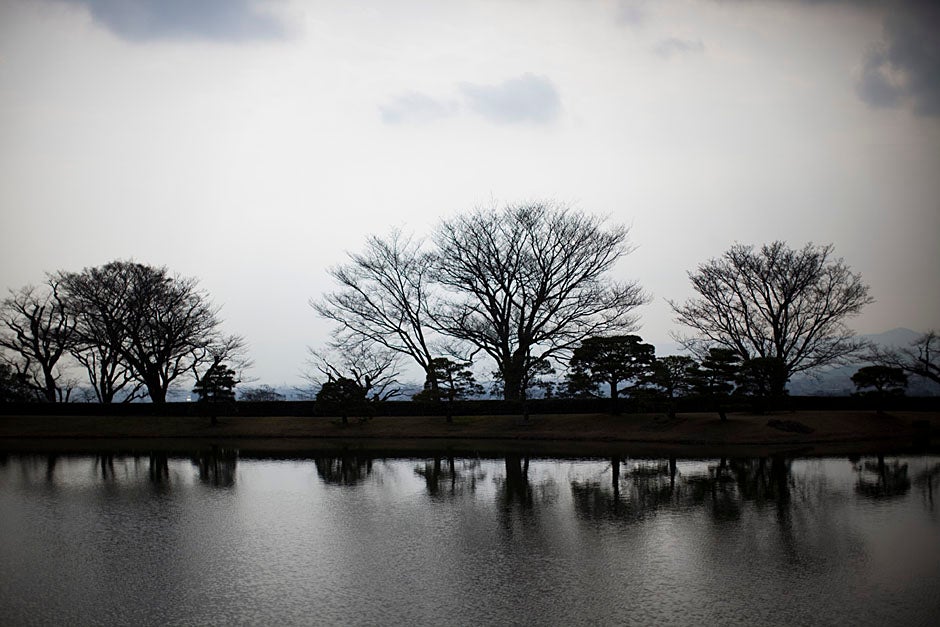 A view of Kyoto’s somewhat bare trees on a cloudy day.
Stephanie Mitchell/Harvard Staff Photographer