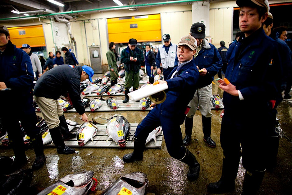 At the Tsukiji Fish Market in Tokyo, an auctioneer calls out rhythmically to entice buyers.
Stephanie Mitchell/Harvard Staff Photographer