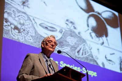 (Cambridge, MA - April 5, 2010) - E.O. Wilson, Pellegrino University Professor, Emeritus, delivers the first in a series of three Prather Lectures, sponsored by OEB, MCB and the Science Center Lecture series. Staff photo Jon Chase/ Harvard University News Office