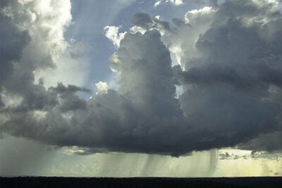 Lead author Scot Martin and his colleagues expect their ability to isolate relatively “pure” aerosol particles will help elucidate natural aerosol-cloud interactions in the Amazon Basin. Pictured is a typical cumulus cloud; sheets of rain can be seen underneath.