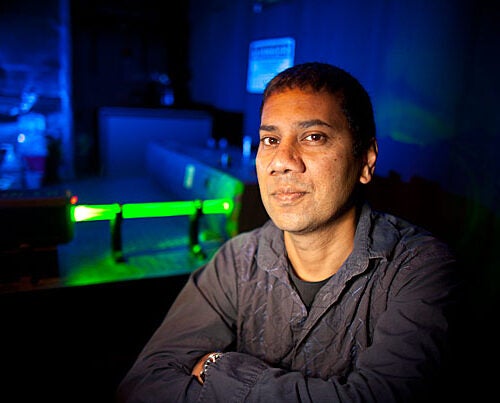 Professor Venkatesh N. Murthy and his colleagues at Harvard and Cold Spring Harbor Laboratory used light to study smell, applying the infant field of optogenetics to the question of how cells in the brain differentiate between odors. “In order to tease apart how the brain perceives differences in odors, it seemed most reasonable to look at the patterns of activation in the brain,” Murthy said. 