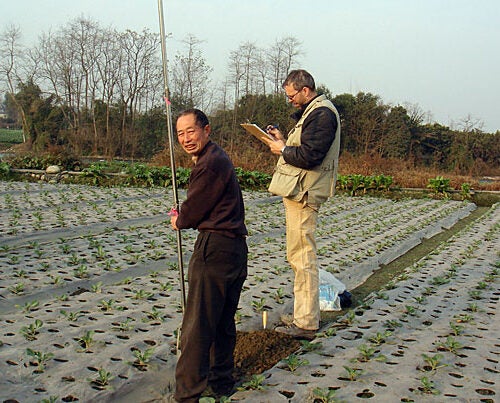 Associate Professor of Anthropological Archaeology Rowan Flad (right) conducts an auger survey during the 2009-10 season. Survey techniques commonly used by archaeologists aren’t useful in the Chengdu Plain because surface materials are obscured by the ongoing agricultural uses of the land. Team members must drill 2-meter-deep survey holes at regular intervals with hand augers.