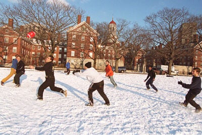 Students looking for something to do during Winter Break will find plenty of exciting activities offered by Harvard and its alumni, on and off campus.
