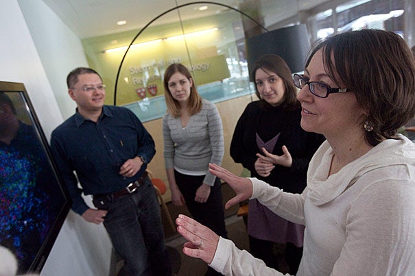 Professor Paola Arlotta (far right) discusses an image of neurons with graduate student Simona Lodato (right to left), Professor of Neurology Kathleen Quest, and Professor of Molecular and Cellular Biology Tako Hensch. The study's findings could potentially help future researchers to better understand the circumstances that lead to errors in the building and functioning of brain circuitry.