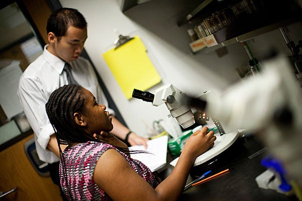 Frederick Chim (left) and Faith Nwaoha work in a lab at Harvard Medical School as part of Project Success. As a high school student, Chim participated in Project Success, which brings area high school students to labs at Harvard Medical School for internships. He is now the program coordinator and planning to go to grad school. 