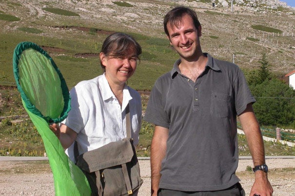 Professor Naomi Pierce (left) and Roger Vila, a postdoctoral fellow who led expeditions to South America, continue to research the unlikely work of Vladmir Nabokov, who studied the migration of certain butterflies in the Americas. 