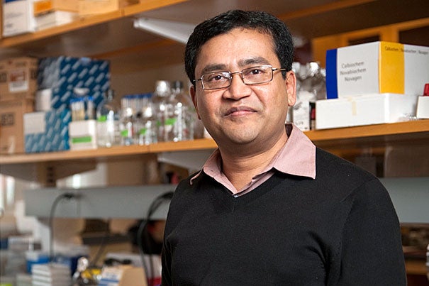 Ruhul Abid will receive the American Heart Association’s 2011 Werner Risau New Investigator Award in Vascular Biology on April 29 in Chicago for his groundbreaking work.