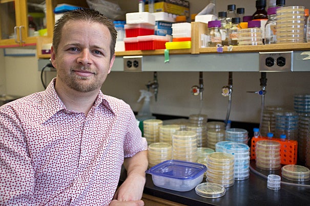 Christopher Marx, associate professor in the Department of Organismic and Evolutionary Biology, has found that rather than increase over time, the value of beneficial mutations in a cell decreases.