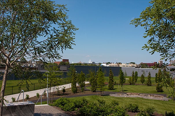 The park contains a tiered area for reading and small classes, a circular event lawn, and a quarter-mile of paths around mostly native deciduous trees, a rain garden, and lawns.
