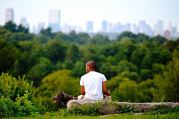 A man and his dog observe a view of Boston from Peters Hill in Harvard's Arnold Arboretum, which is the site of an 18th-century burial ground. 