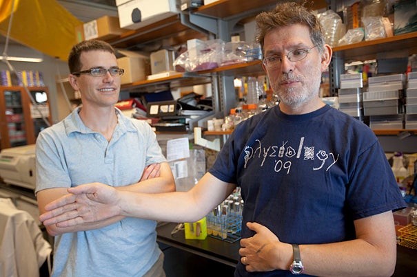 Professor Andrew Murray (right) and postdoctoral fellow John Koschwanez studied yeast to gain insights on the development of multicellular life. 