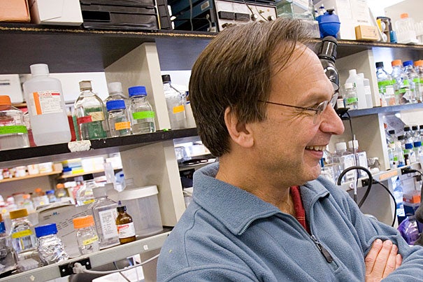 One of the drug prototypes proved capable of reducing disease symptoms in diabetes-prone mice without triggering weight gain or fluid retention, potential side effects of current drugs, according to research conducted in part by Dana-Farber's Bruce Spiegelman, the Stanley J. Korsmeyer Professor of Cell Biology and Medicine at Harvard Medical School. 