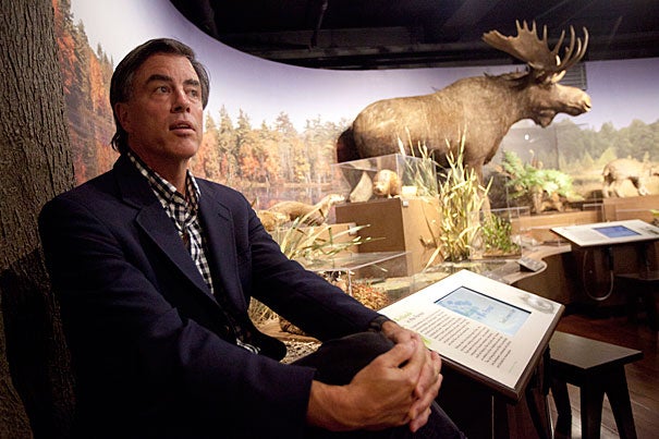 Today, New England is the nation’s most heavily forested region, at 82 percent coverage. “People assume the pressure is off New England forests, but it’s not,” said Harvard Forest Director David Foster, pictured at the "New England Forests" exhibit in the Harvard Museum of Natural History.