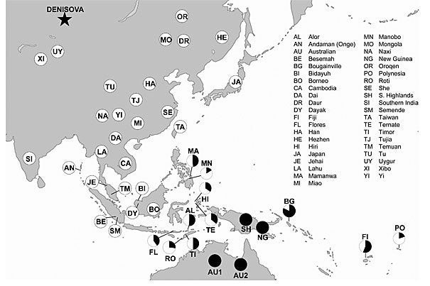 The attached figure shows the populations in Southeast Asia and Oceania with and without Denisova ancestry. The blackened circles (New Guineans, Aboriginal Australians, etc.) represent the groups with the most Denisovan genetic material discovered to date; an estimated 4 to 6 percent of their genetic material comes from archaic Denisovans. The pie charts show the other populations in relation to them. Denisovan genes are detected only in eastern Southeast Asia and Oceania; they are not detectable in mainland Asia.