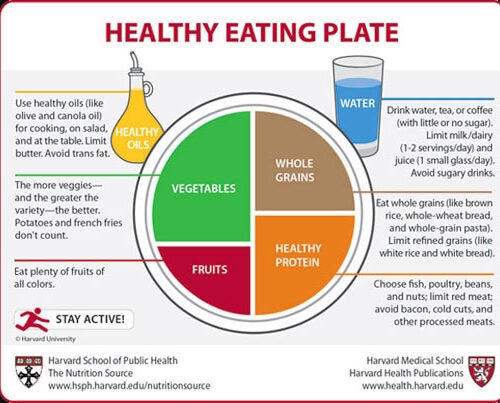 Researchers say that when you compare the Harvard Healthy Eating Plate with the USDA’s MyPlate, the shortcomings in the government’s guide are evident. 