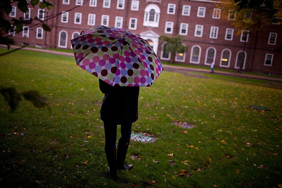 Harvard University celebrates the 375th anniversary of its founding with birthday cake and a huge — though wet — celebration. Justin Ide/Harvard Staff Photographer
