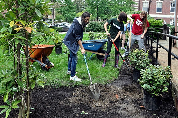 Madeline Holland (from left), Alison Zhang, and Joseph Booth weren't afraid to dig into the landscaping project. The project was part of a new push to get students invested in the campus community by inviting them to work together to make Harvard a better — and more attractive — place. 
