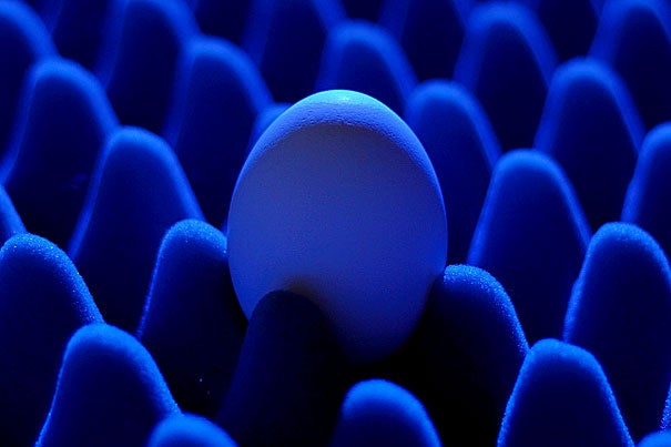 Harvard researchers have demonstrated a new design for LEDs by nestling quantum dots in an insulating structure that resembles an egg crate.