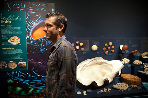 Gonzalo Giribet, professor of Organismic and Evolutionary Biology and curator of invertebrates in the Museum of Comparative Zoology, has collected mollusks and their shells around the world and is working to construct a mollusk family tree. Giribet, who curated a new mollusk exhibit at the Harvard Museum of Natural History, said mollusks are easier to study than soft-bodied invertebrates because even after a mollusk dies, it leaves a shell behind for examination.