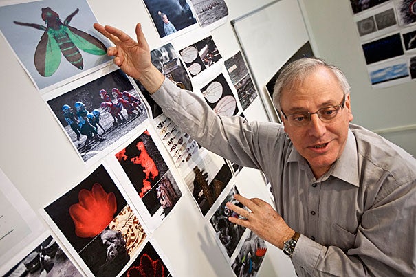 Benny Shilo, a molecular genetics professor, has been peering through a camera lens during his tenure as a fellow at the Radcliffe Institute, where he is working on a project that uses scientific images and photographs of everyday people to explain concepts in developmental biology to the public.