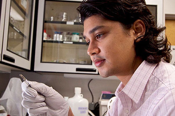 Kevin Vora, a graduate student in applied physics at the Harvard School of Engineering and Applied Sciences, examines a sample in the lab. Vora and colleagues at SEAS led by Professor Eric Mazur developed a fabrication process that enables the creation of nanostructures patterned in three dimensions.