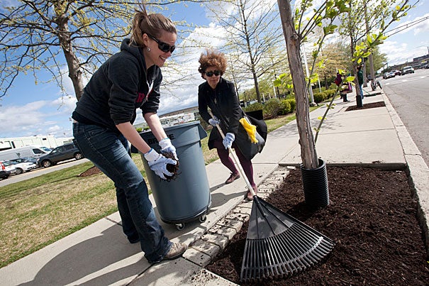 Harvard's GIS manager Parvaneh Kossari (right) and Sustainability Engagement Program manager Olivia Percy spread mulch at  Barry’s Corner during Boston Shines, an annual event that University employees have participated in for the past 10 years.