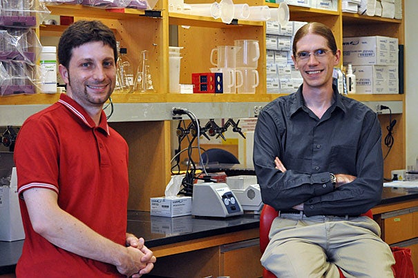 Curtis Huttenhower (right) and Nicola Segata are two of the Harvard researchers who have helped to identify and analyze the vast human “microbiome,” the more than 5 million microbial genes in the body. 