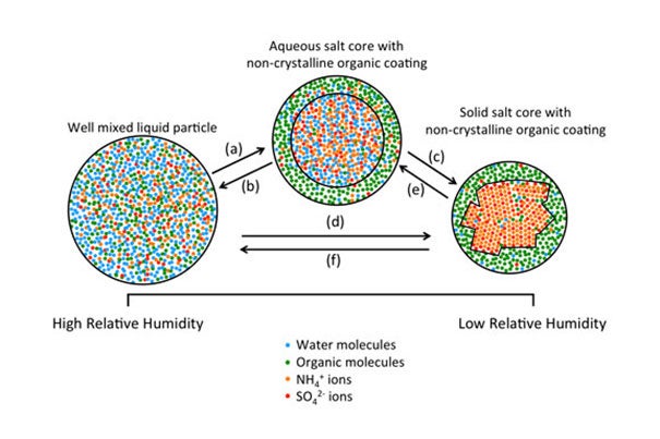Possible phase transitions of particles containing mixtures of organic and inorganic material: a) liquid-liquid phase separation; b) liquid-liquid mixing; c) and d) inorganic efflorescence; and e) and f) inorganic deliquescence. 