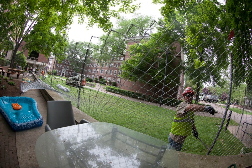 Immediately after Harvard’s Commencement, fencing for the Old Quincy House renovation was installed.