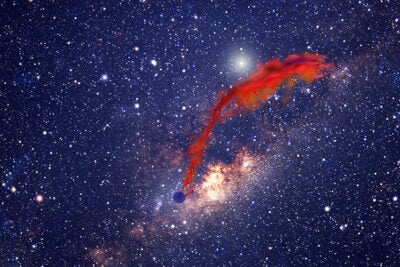 In this artist's conception, a protoplanetary disk of gas and dust (red) is being shredded by the powerful gravitational tides of our galaxy's central black hole. 