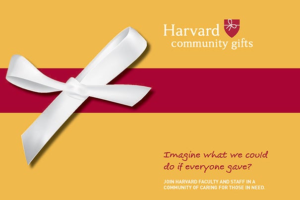 The Harvard Community Gifts annual campaign launches on Nov. 7. Harvard has established a user-friendly website where individuals can select their charity and donation amount.