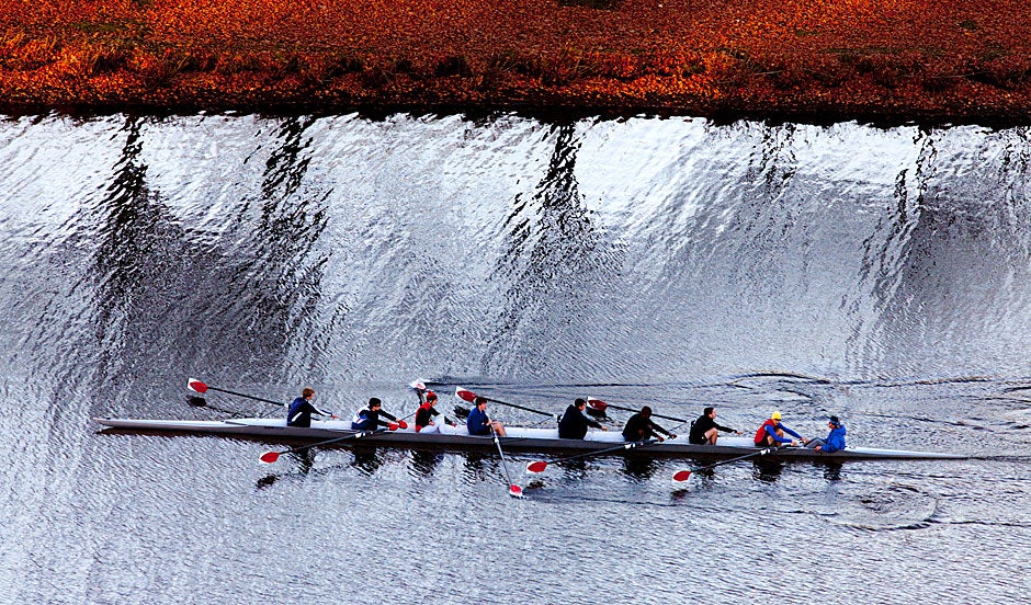 An ice-blue Charles River is disturbed by rowers and the intruding shadows of wintry trees. Rose Lincoln/Harvard Staff Photographer 