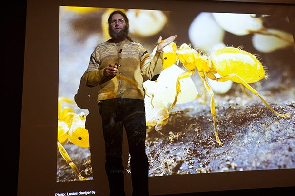 A senior research fellow in ecology at Harvard Forest, Aaron Ellison discussed his new book, “A Field Guide to the Ants of New England,” to an enthusiastic crowd that included members of the Harvard community and local fans of ecology.