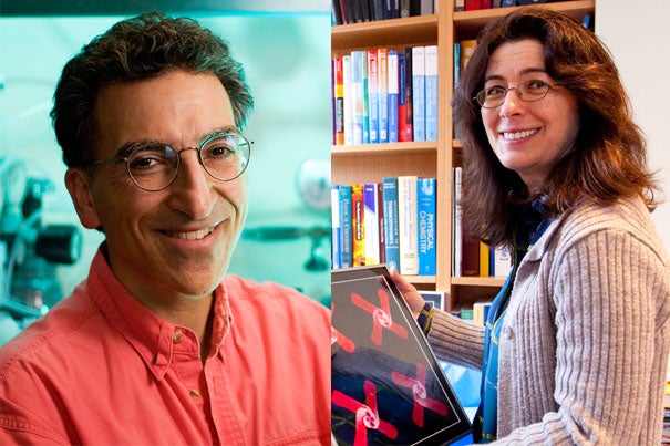 Harvard Professors Michael J. Aziz (left) and Joanna Aizenberg are heading up two teams that have been recognized with grants by the Department of Energy’s Advanced Research Projects Agency – Energy. The funding will enable the teams to continue to develop innovative energy technology.