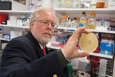 Michael Gilmore, who organized the Harvard-wide Program on Antibiotic Resistance and whose lab in May announced it had decoded the genome of the 12 known VRSA strains in the United States, said the group is taking a diversified approach to meet the challenge of antibiotic resistance.