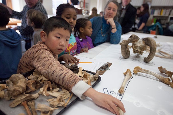 Cosmo Cao (from left), Feven Solomon, and Avyana Quarles, all third-graders from Cambridge's Haggerty School, work with Peabody Museum volunteer Sandy Nayak during a visit to the Peabody Museum's Zooarchaeology Lab.