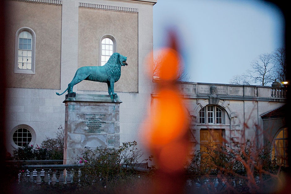 The Brunswick Lion stands tall in the background as the setting sun leaves a glowing impression on a wrought iron fence post. This lion is a replica; the original sits in front of a castle and cathedral in Brunswick, Germany. Rose Lincoln/Harvard Staff Photographer