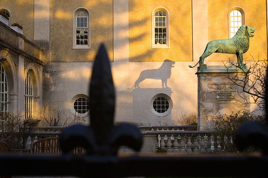 The towering lion casts a shadow on the wall as the sun does its magic on the Busch’s walls. Kris Snibbe/Harvard Staff Photographer
