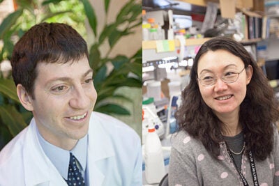 Matthew Davids, an instructor in medicine at Harvard Medical School and Harvard-affiliated Dana-Farber Cancer Institute, and Xiu-Ping Wang, an assistant professor of developmental biology at the Harvard School of Dental Medicine, are recipients of Shore Fellowships, which help junior faculty balance professional responsibilities with household duties. 