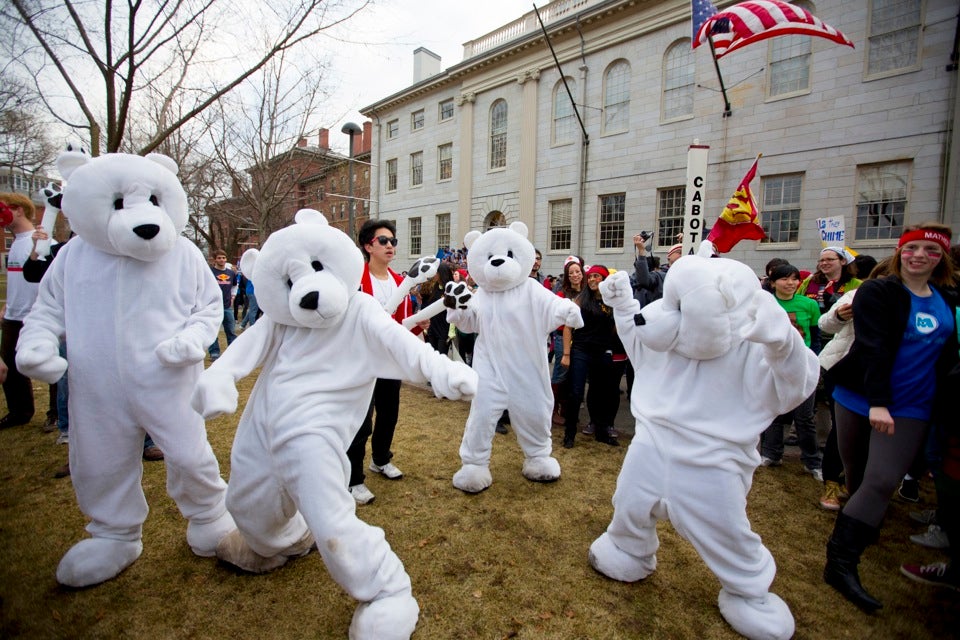 Pforzheimer polar bears dance in the Yard in honor of Harvard’s Housing Day, the annual celebration when freshmen learn where they’ll be living next year. The Houses colorfully compete to show the most spirit.