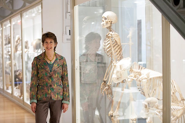 Marlene Zuk: “There is no ‘progress’ in evolution. No living thing is trying to get anywhere. And humans are not at the pinnacle of the evolutionary ladder.”